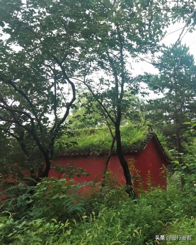 心中有风景，处处有惊喜——游南山森林公园