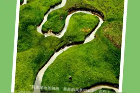 总要来一趟甘肃吧!——狼渡湿地草原图片