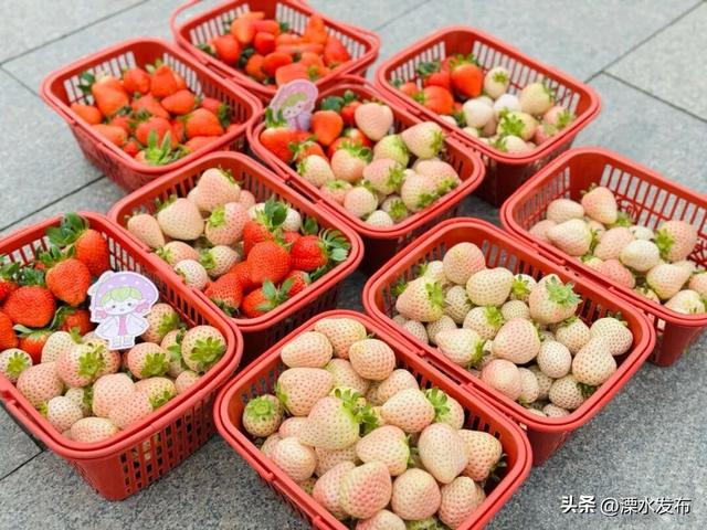 三月的傅家边，太值得奔赴啦！