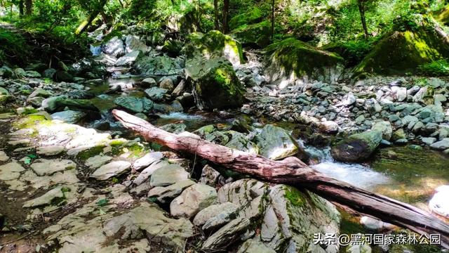 西安周边 | 这个秋天不可错过的宝藏旅行地！