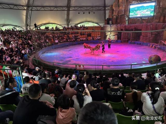 南漳国庆文旅市场热力全开，“奔县”旅游潮玩出新花样