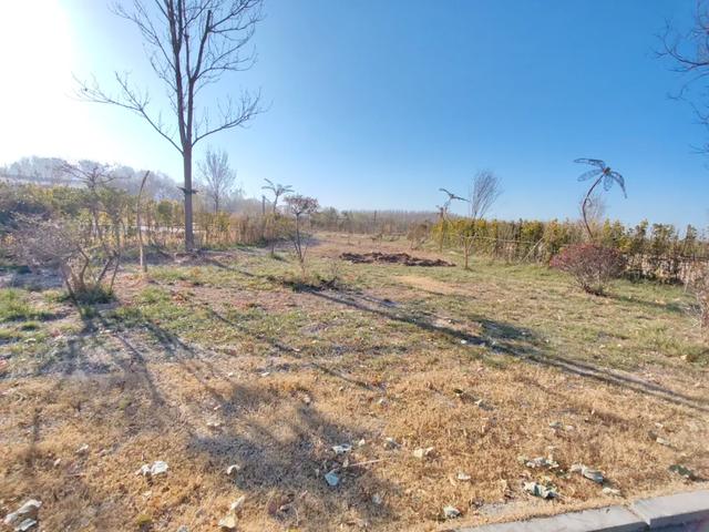 德州城西“花园营地”怎么不见了?