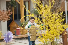 刘惜君做客《灿烂的花园》聊中英街故事，张颂文回忆导游往事图片