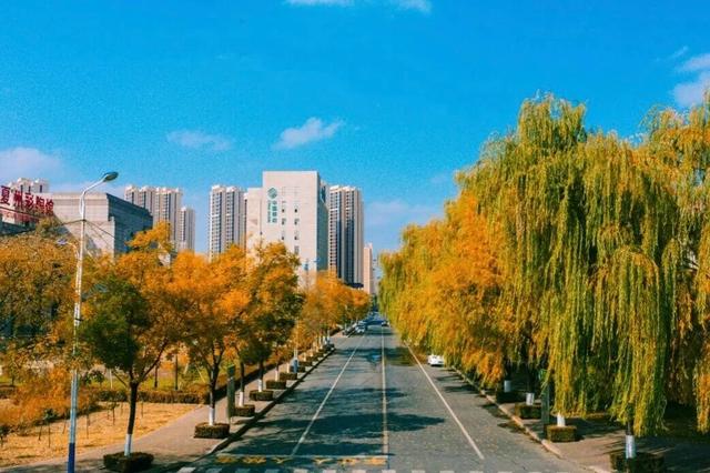 临夏的秋天，是一场金色的仪式