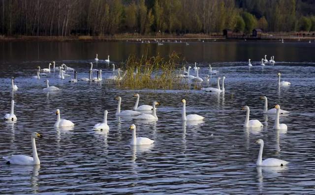 @运城市民！快拿上身份证冲这里吧！