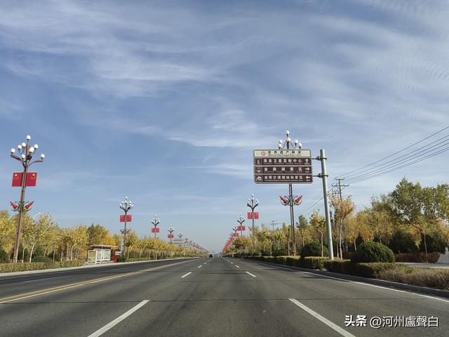 金塔胡杨林