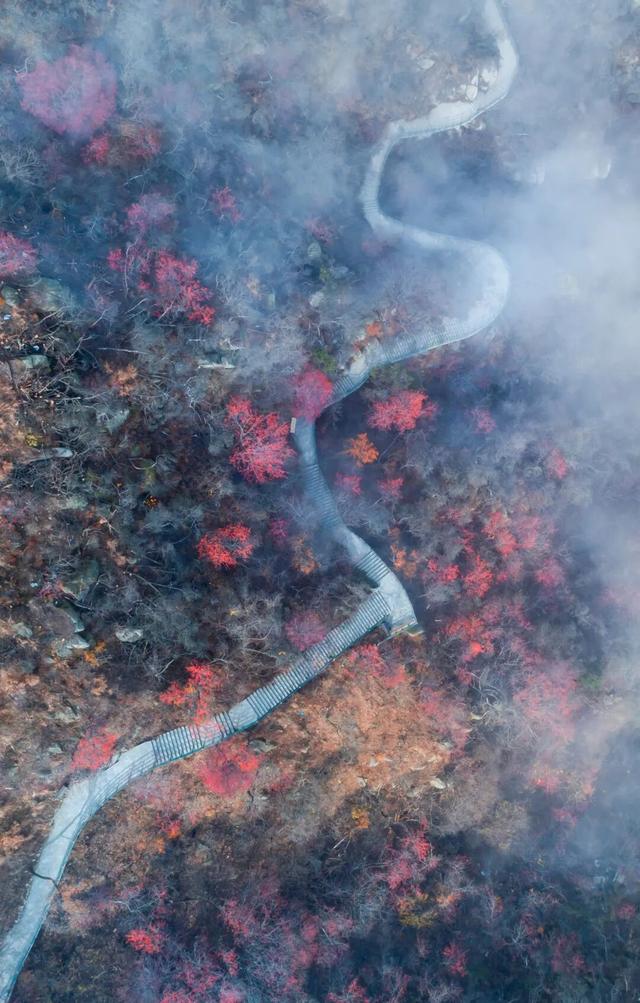 临沂这抹红，醉了秋日山水