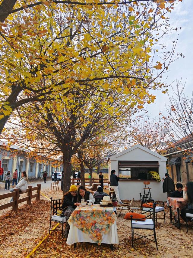 出片率UP！UP！UP！潍坊这里好美啊！