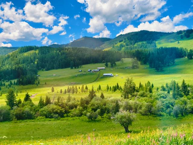 在白哈巴被颠晕！但面对吹爆朋友圈的美景，我跪了（附线路攻略）