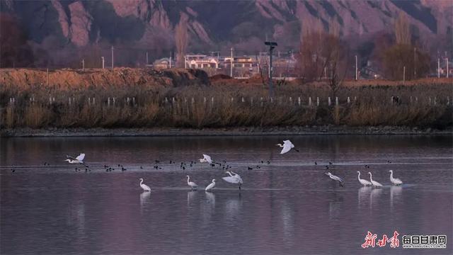 【寻迹甘肃 向往之旅】花儿临夏 在河之州