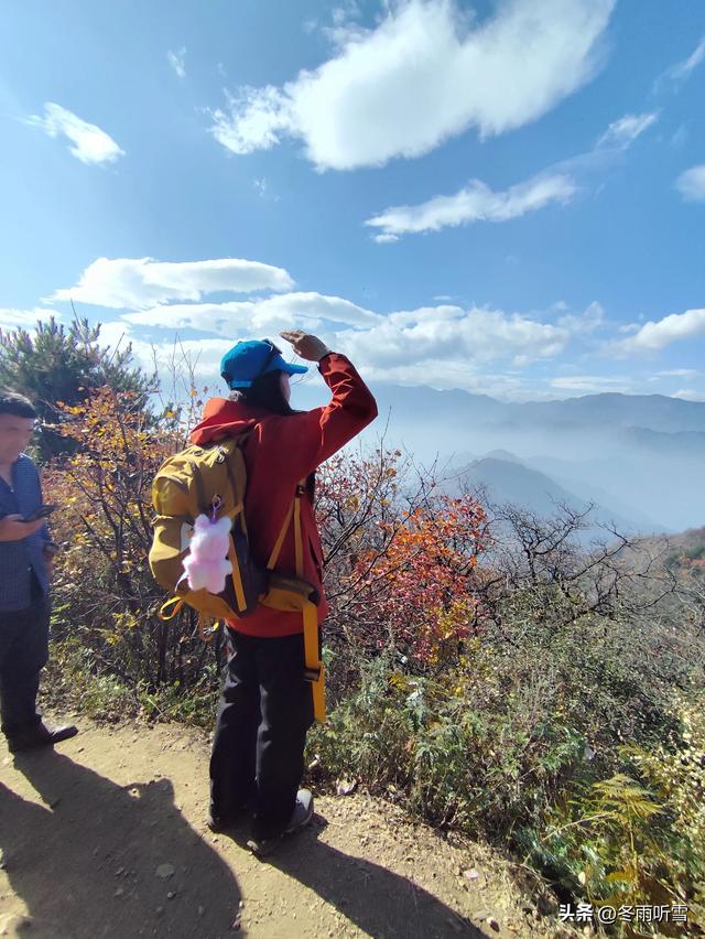 又见山山红叶飞