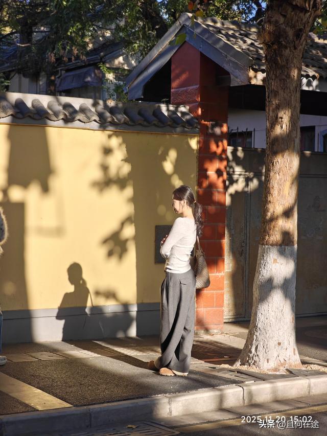 南京“丑萌”梧桐C位出道！颐和路半天游，把民国浪漫拍成表情包