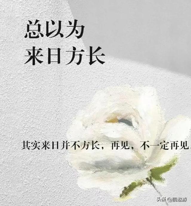 一路走好！继朱媛媛后又送走一资深演员	，在家猝逝多天忠犬陪伴