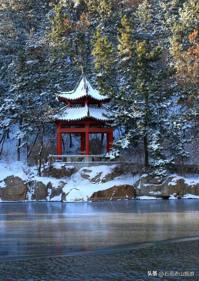 冬访赤山：当山海褪去色彩，风骨与暖意正当时