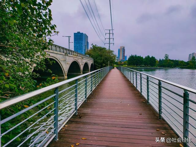 南京九龙湖：从淤积污染到 “水清鱼翔” 的生态蜕变