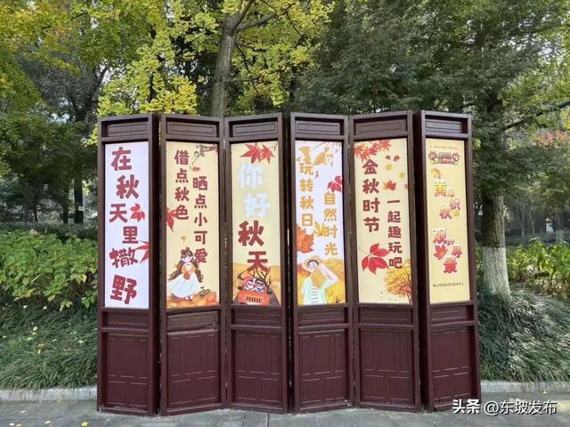 东坡银杏已“上分” ！快来拍