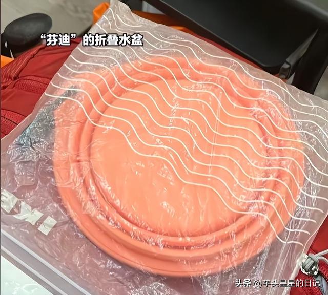 带导盲犬爬山后续：女主渴望被理解，坦言自己没错，澄清不是夫妻