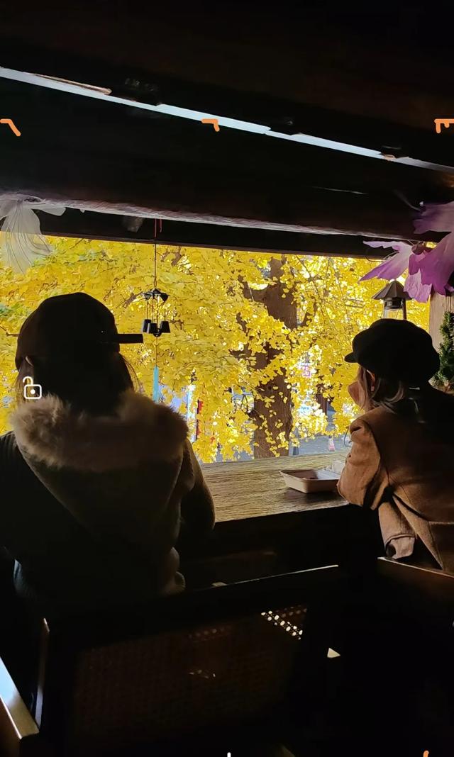 天气很冷，大理很“热”