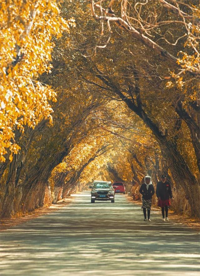 这9条路线美到封神！一路秋色如画，现在出发正好，沿途都是宝藏