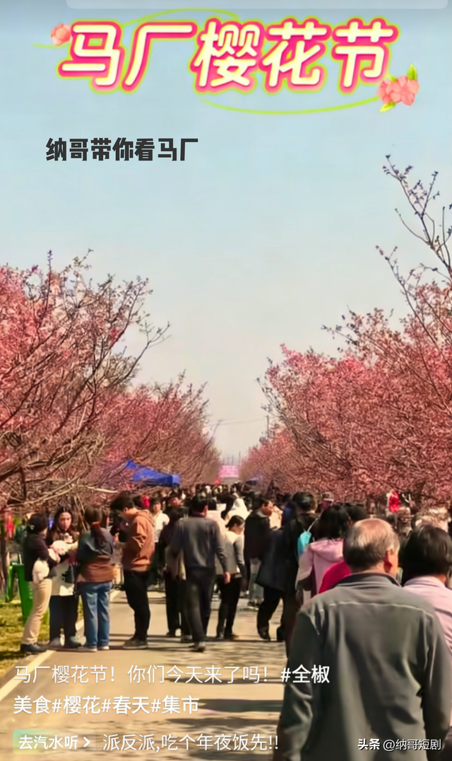 春风十里，不如马厂有你。2026马厂樱花节，定格春日最美瞬间。