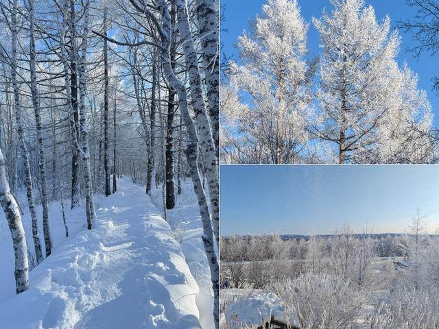 阿尔山的冬天：不冻河热气蒸腾、雾凇挂满林海，每走一步都是浪漫