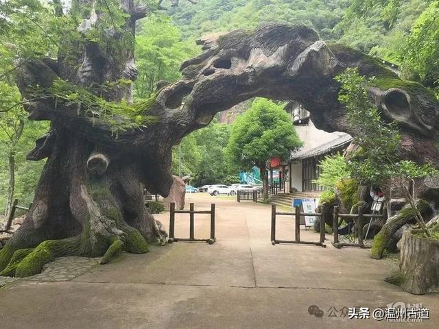 温州这个亲子游玩胜地、植物自然课堂孩子玩嗨家长不累