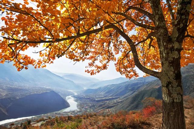 管他什么假，不放假也要来阿坝！