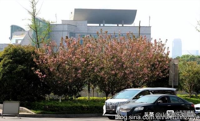 胜利路—民德路—新洲路（江西之旅第廿四篇）