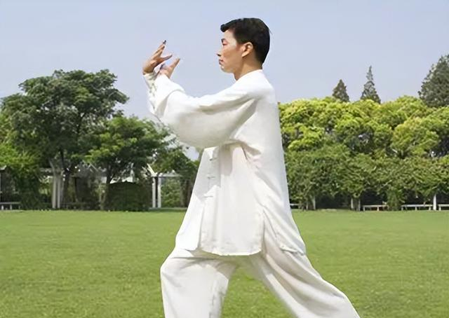 太极拳新手必看！4个简单招法学懂“不用蛮力的聪明拳”