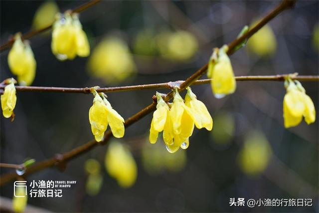 陕川交界有个神秘镇子，古苗人隐居避世之地，还藏了超多秘境风景