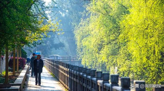 旅居云南·入昆第一站丨嵩明旅居缘何双双“上榜”？