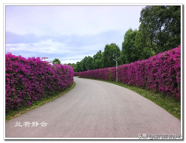 云南弥勒：太平湖森林公园的大地艺术作品