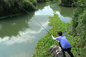 钓5斤左右的鱼，用多大的线组才不会断？图片