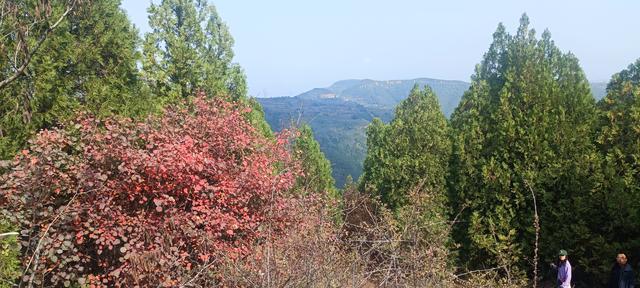 骊山红叶似火 车辆行人如织