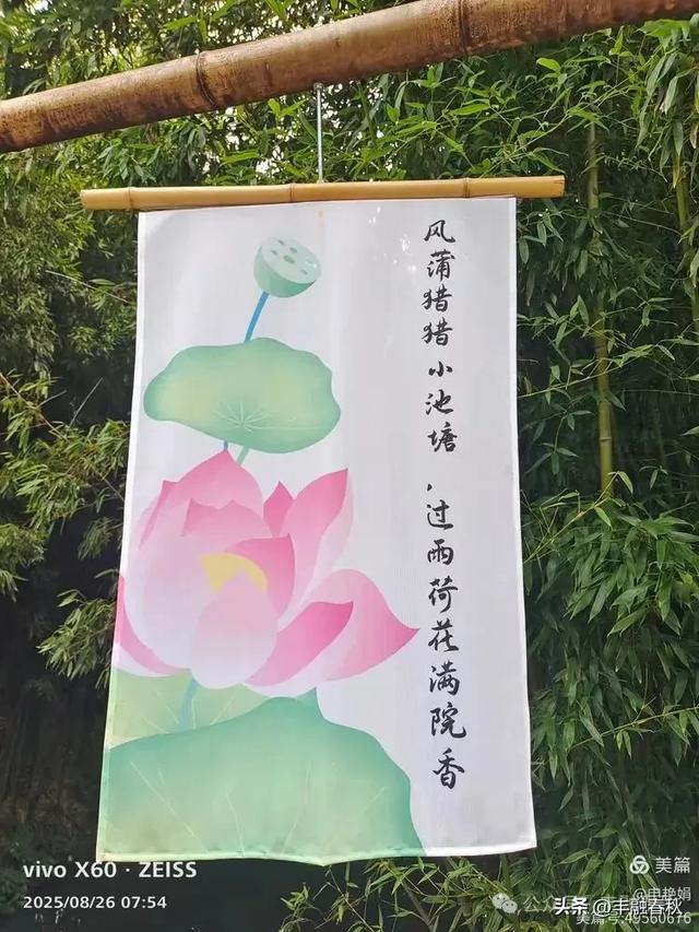 紫竹院竹荷季:一园清风里的诗意相逢| 申艳娟
