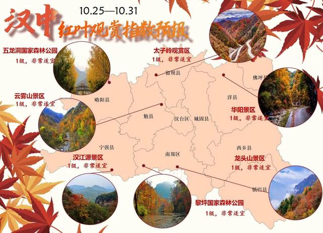 秋意浓!汉中未来一周红叶最佳观赏期预报出炉→