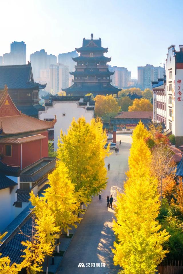 限时绝美！汉阳全城颜值巅峰，零换乘直达