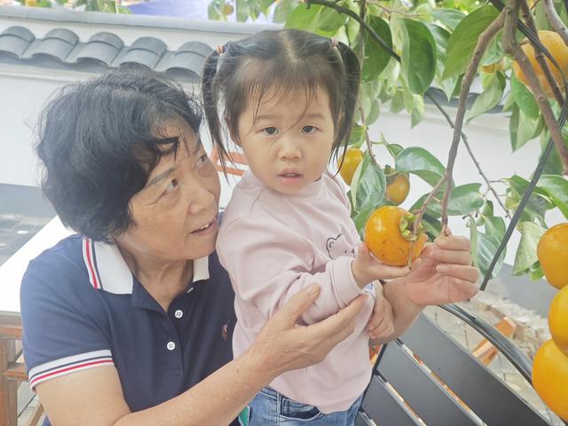 桂北秋色行之柿红