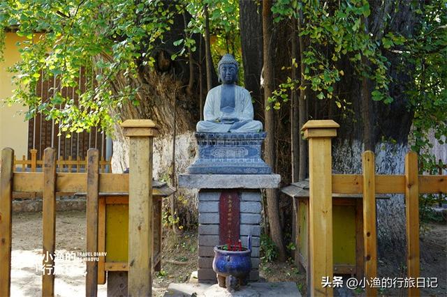 藏在秦岭的“最小”寺庙，只剩一进大殿，一棵古树占了半个院子