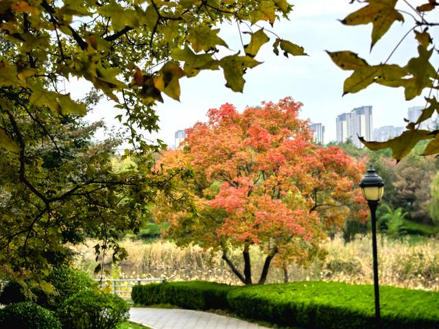 浞景无边，快乐亦无边~