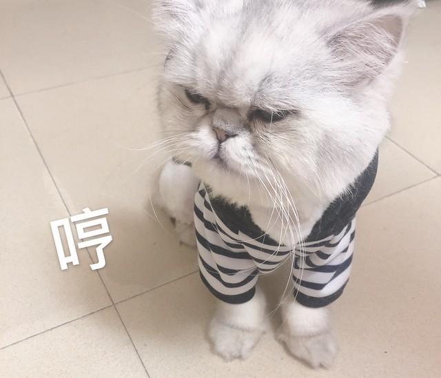 父亲求畏惧还是求爱？两代人对话揭开传统父权教育的伤疤