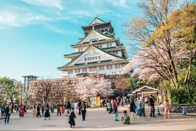 不要想了！醒醒吧！普通人想拿日本身份图片