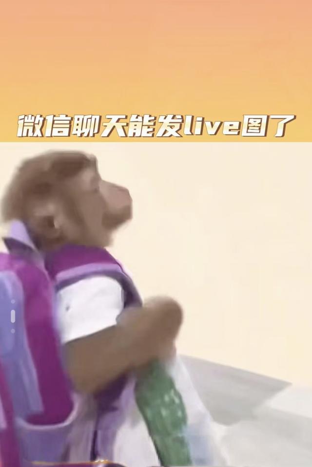 微信支持发Live图，社交分享直接开挂！