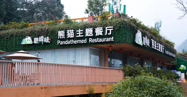 逃离高温！成都2H躲进峡谷避暑地，徒步森林瀑布、探秘野生动物！超萌奖牌周末就冲！
