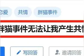 话题：为什么胖猫事件无法让我产生共情？网友：确实无法共情图片