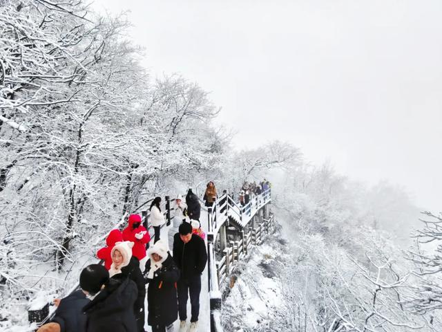 2025龙头山今冬第一场雪已至！快出发来赏雪~