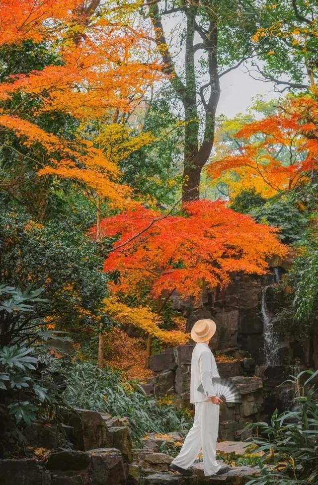 来虎丘山，这里有你更好看！