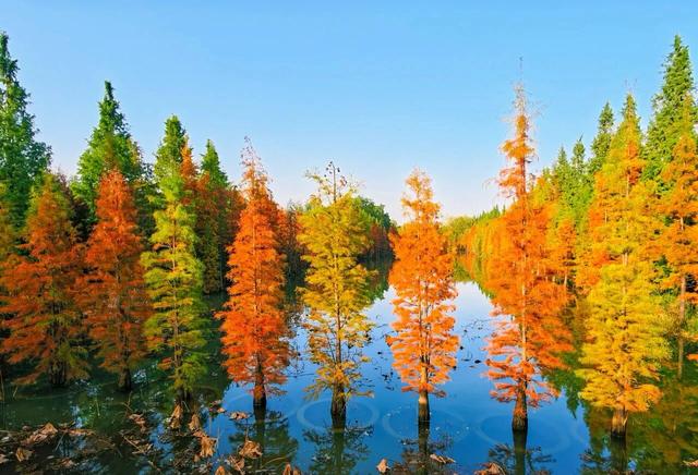 刚拍下！洛阳这个大型公园美爆了