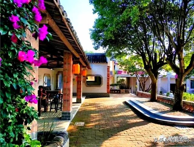 半坡寻幽，客栈栖心——秋访九福兰园