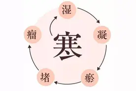 寒邪阻络浑身痛，中医教你回阳救逆，补阳气，散寒湿图片